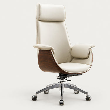 Executive Ergonomic Office Chair